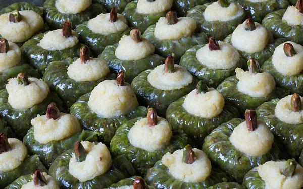 CAMIZ GÖZÜ