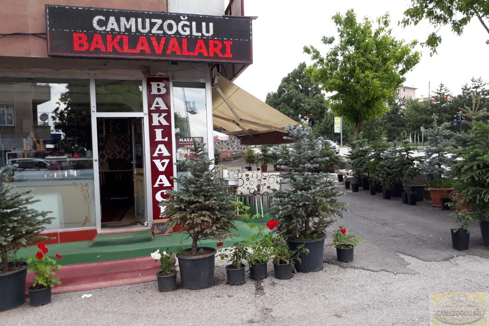 Erzurum_1